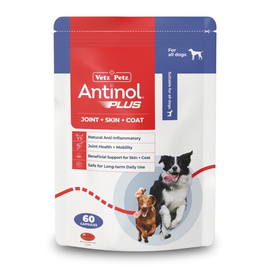 best antinol plus price