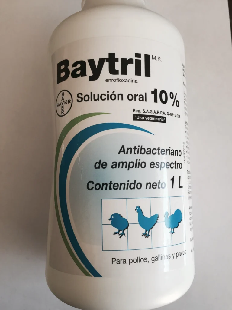 buy baytril 10 oral online