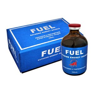 Buy Fuel 100ml Online