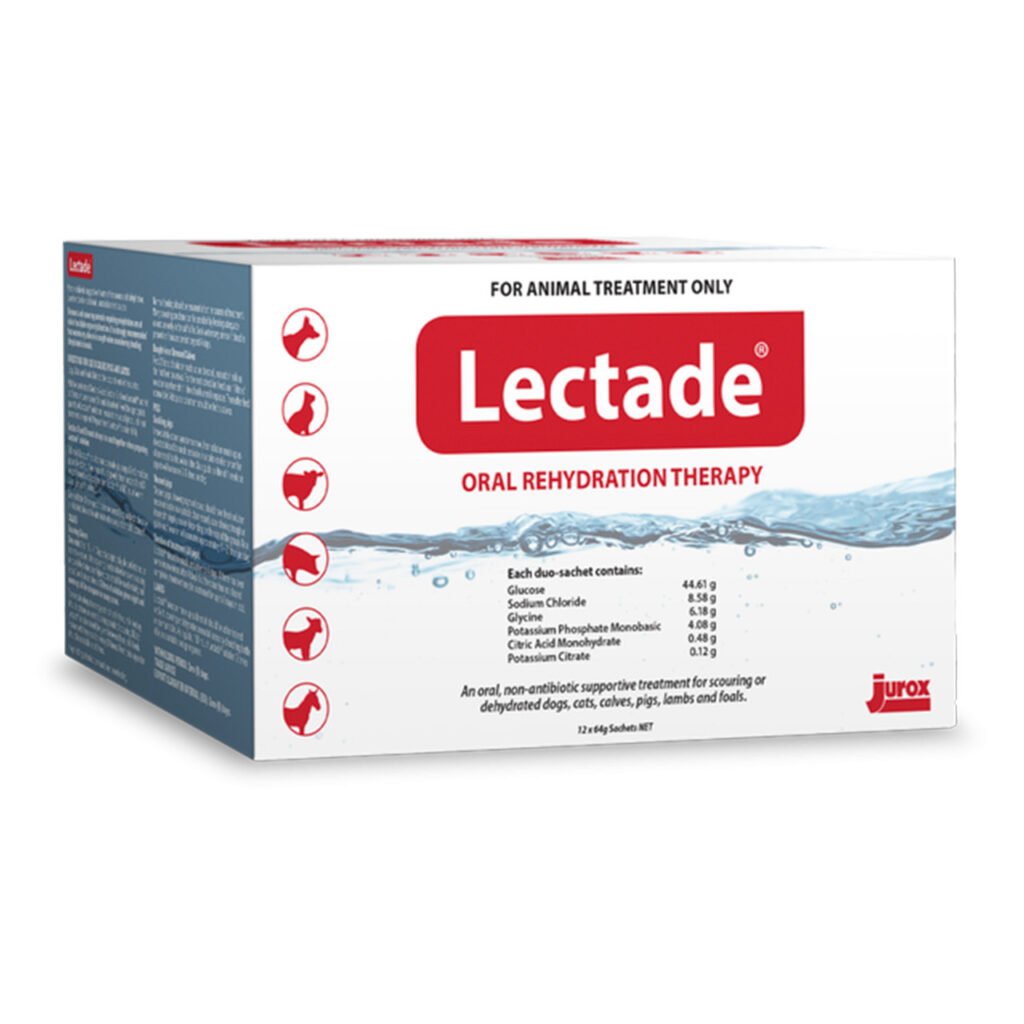Lectade Duo Sachets(12 pack)
